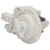 High Quality Compatible Replacement Drain Pump : Msp Ablaufpumpe PMP006MI 30 Watts Compatible With Hanning Nr. 6239562
