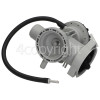 LG Drain Pump Assembly : Leili Changzhou BPX2-93L 35W