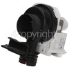 Drain Pump Assembly : BPX2-14L 30W