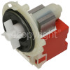 Drain Pump: 3 C EBS 2556