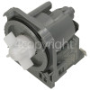 New World Drain Pump : Fudi 1718C 30W 0. 2A (See Alternatives)