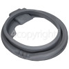 Indesit Door Seal