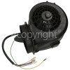 Caple Motor Assembly