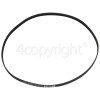 Electrolux Poly-Vee Drive Belt - 1198J6PJE