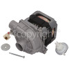 Beko Spray Pump Motor