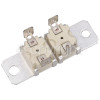 Baumatic Security Thermostat