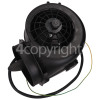 Caple Complete Motor