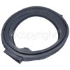 Hisense Door Seal