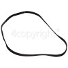 Zanker Poly-Vee Drive Belt - 1280J6PJE