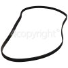 Zanker Poly-Vee Drive Belt - 1210J5