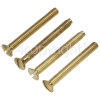 Wellco 38mm Brass Plated Screws (Pack Of 4)