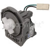 Drain Pump (with Round Top) : 30w 0.2a