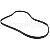 Indesit Poly-Vee Drive Belt - 1310J5