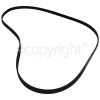 Harrow Poly-Vee Drive Belt - 1227H6PHE