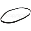 A1249RLJ Poly-Vee Drive Belt - 1234J5PJE / 1234J5