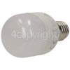 Hotpoint LED 2W Fridge Lamp Ses/E14 220-240V