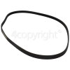 K712WM15 Poly-Vee Drive Belt - 1281J5PJE