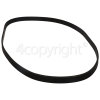 Hisense WFQY1014EVJM Poly Vee Drive Belt : 1161J6