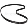 ALASKA1257V8 Poly-Vee Drive Belt - 1234J6EPJ