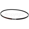 Tricity Bendix Poly-Vee Drive Belt 1196J5PJE, 1196 Mm