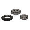 Servis M3022 Bearing & Seal Kit ( 6305ZC3 & 6204ZC3) & Seal 35x62x10 Kit