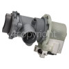 Blomberg WNF6221 Drain Pump Assembly : Arcelik SPW165250e31p 25w