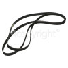 Blomberg Poly-Vee Drive Belt - 1967H9PHE