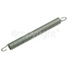 Blomberg Door Hinge Spring