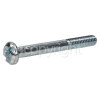 Hoover Handle Screw