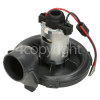 Hoover F122RH 011 Main DC Motor