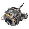 Blomberg Motor
