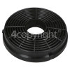 Carbon Filter