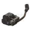 McCulloch BVM250 Ignition Module
