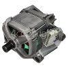 Blomberg Motor