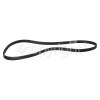 Hotpoint BWD 129 Poly-Vee Drive Belt - 1051H8MA