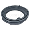Hisense Door Seal