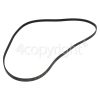 Caple Poly-Vee Drive Belt - 1200J5