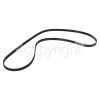 Caple Poly-Vee Drive Belt - 1208J5PJE / 1208J5
