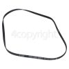Candy Poly-Vee Drive Belt 1225J5EPJ / 1225J5, 1225 Mm
