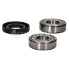 Zanker High Quality Replacement Drum Bearing & Seal Kit (6204zz & 6205zz)