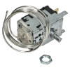 Fridge Thermostat