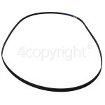 Genuine Electrolux Group Poly-Vee Drive Belt - 1971H7