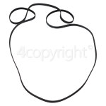 Genuine Hotpoint Poly-Vee Drive Belt - 1991H6PHE