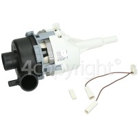 Hoover D7610/2 Recirculation Pump Motor: Askoll M232 295164 75W
