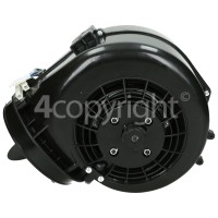 Hoover Conveyor Assembly