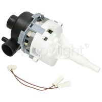 Hoover Motor Pump