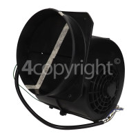 Hoover Conveyor Assembly