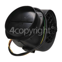 Hoover Conveyor Motor