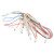 Rangemaster Fanned Oven Harness