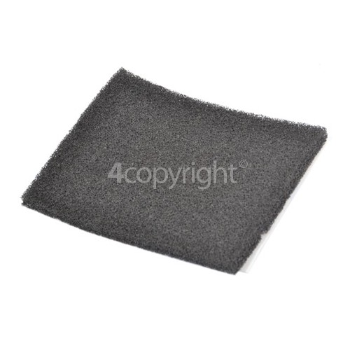 Samsung CycloneForce Pet Foam Filter